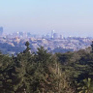 Meet your Posher, Carolyn